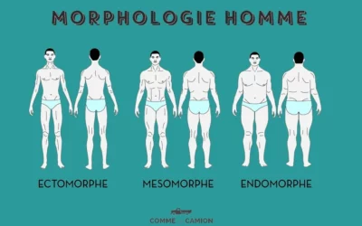 Type morphologique